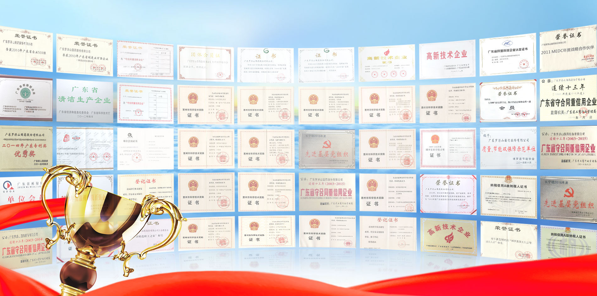 广东罗浮山国药股份有限公司